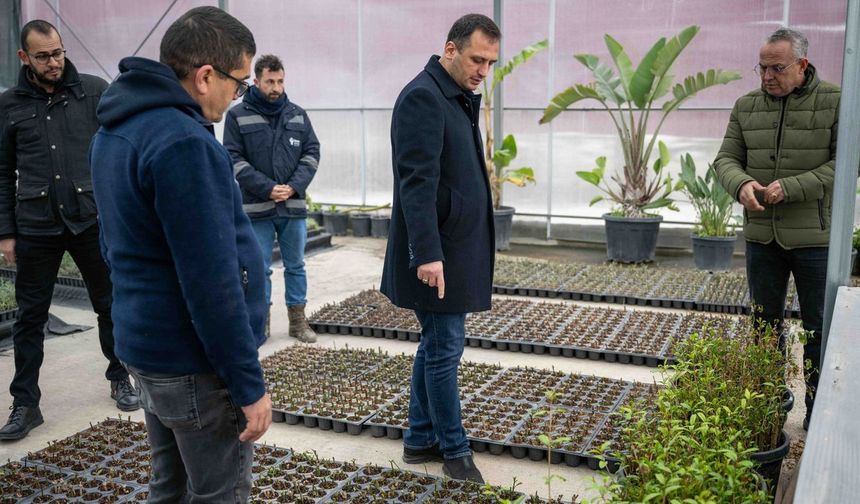 Bornova kendi yeşilini kendi üretiyor