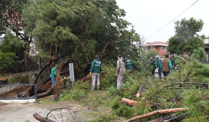 Kuşadası'nda ekiplerden kritik müdahale