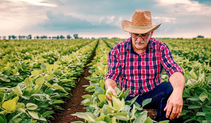 Tarımsal destek ödemeleri bugün çiftçilerin hesaplarına aktarılıyor