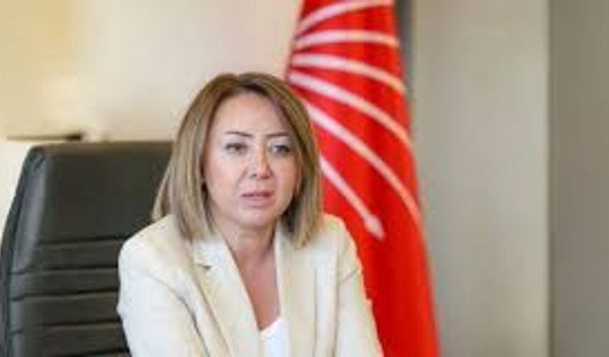 CHP'li Çiftci'den Açıklama: 'Yargı Eliyle Rejim Kuruluyor'