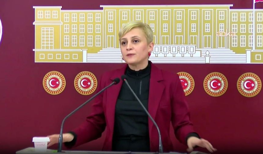 DEM Partili Koca'dan Erdoğan'a: Faşist gidişat söylemi