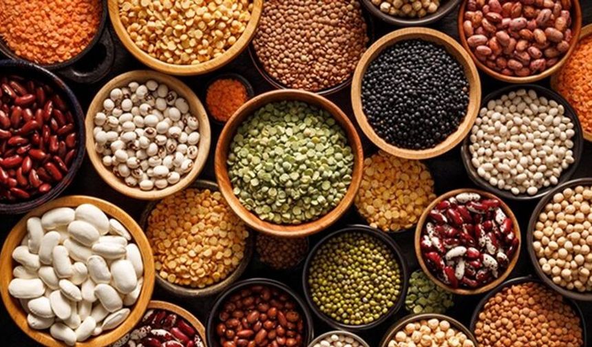 Ege Bölgesi'nin tarım ürünleri ihracatı 7.5 milyar doları aştı