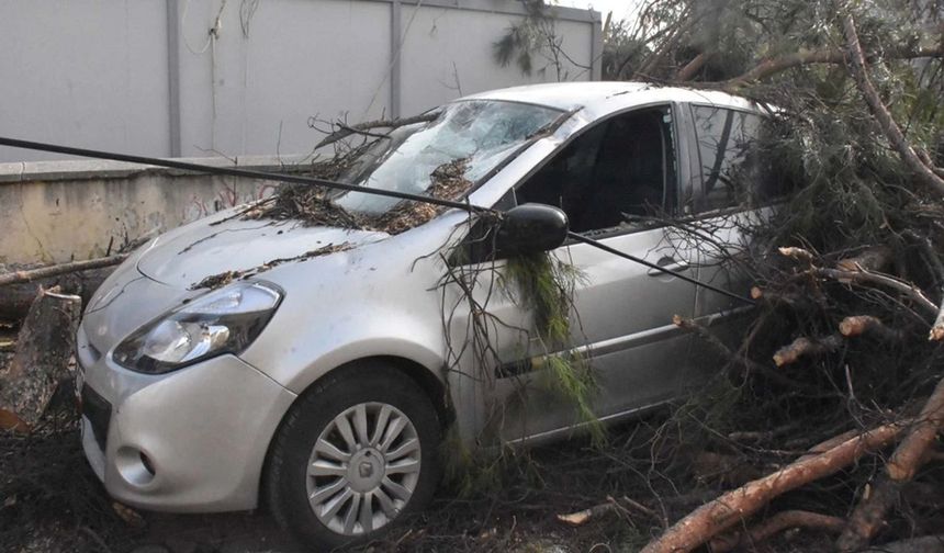 Fırtına İzmir'i vurdu: Ağaç devrildi, deniz taştı