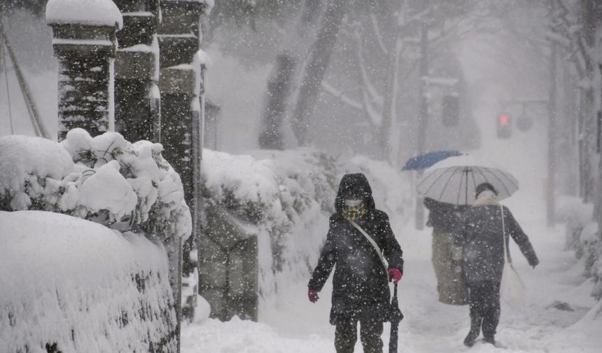 Japonya'daki kar fırtınasında ölü sayısı 46'ya yükseldi