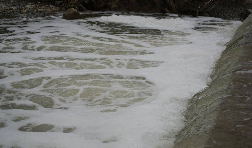 Kocaeli'de dere alarmı: Köpük ve ağır koku tedirgin ediyor