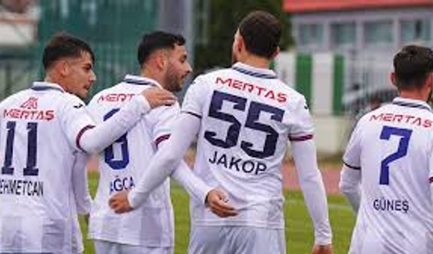 Yeni Mersin İdmanyurdu'na 111 Bin TL ceza ve küme tehdidi