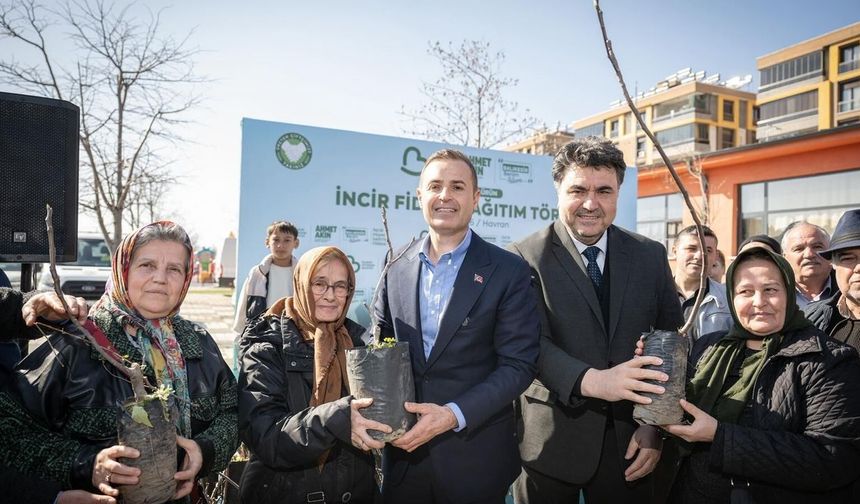 Akın'dan üreticilere yüzde 100 hibeli incir fidanı desteği