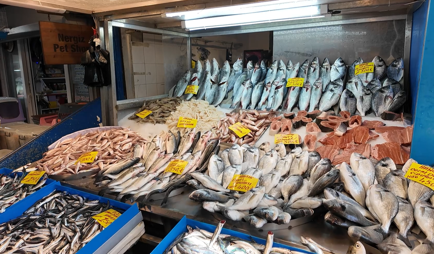 Balık Hali Esnafı Zamlardan Dertli: Satışlar Durdu