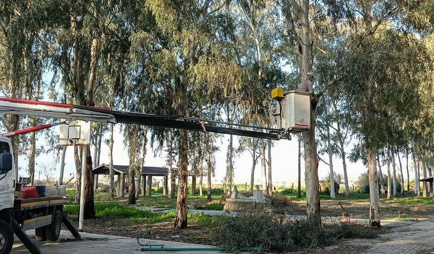 Efeler'de güvenli yeşil alan seferberliği :Tepecik Mesire Alanı yenileniyor