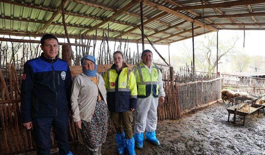 Çavuşoğlu'nun hayvancılık hamlesine üreticiden tam not