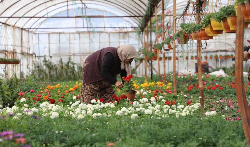 Muğla'da üretici kadınlar meclisi kuruluyor