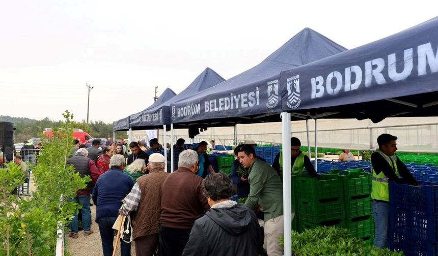 'Üreten Bodrum Buluşması' geniş katılımla gerçekleşti