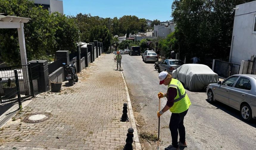 Bodrum'da ot temizliği devam ediyor