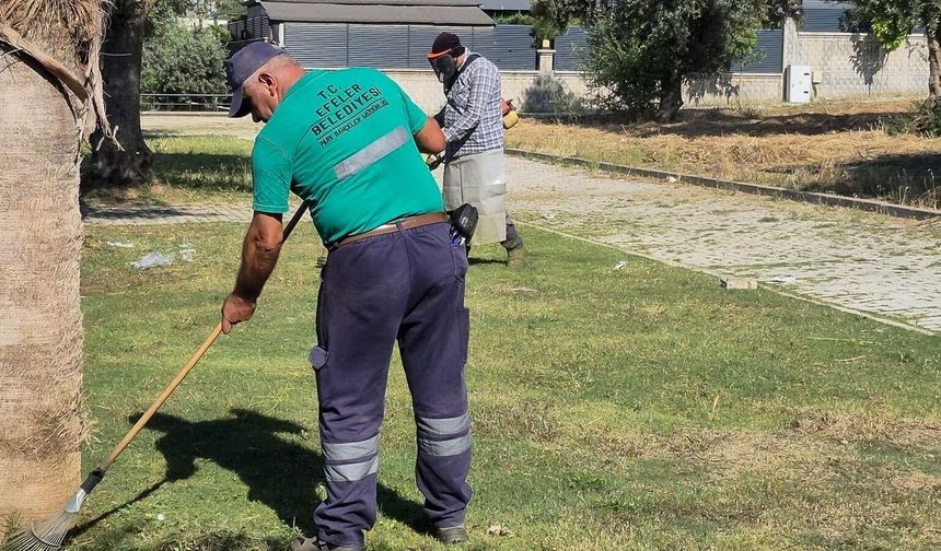 Efeler'in Yeşil Alanlarında Yaz Temizliği