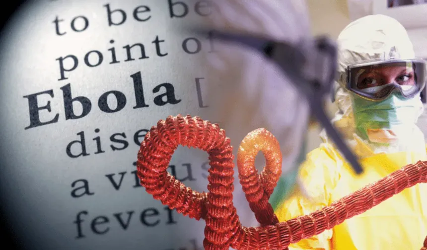 Kongo'da Ebola vakaları 321'e yükseldi