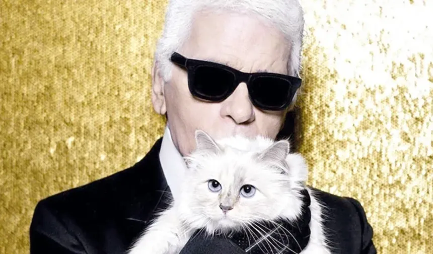 Lagerfeld'in kedisi mirasını 7 yıldır alamadı