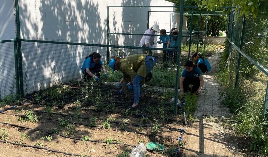 Öğrenciler kendi bitkilerini yetiştirecek