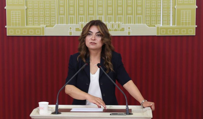 DEM Parti'den çerçeve yasa taslağı açıklaması