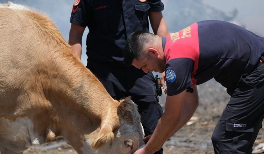 Yangın Sahasında Yürek Isıtan An
