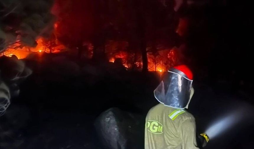 Balıkesir'de 6 bin 733 hektar alan zarar gördü
