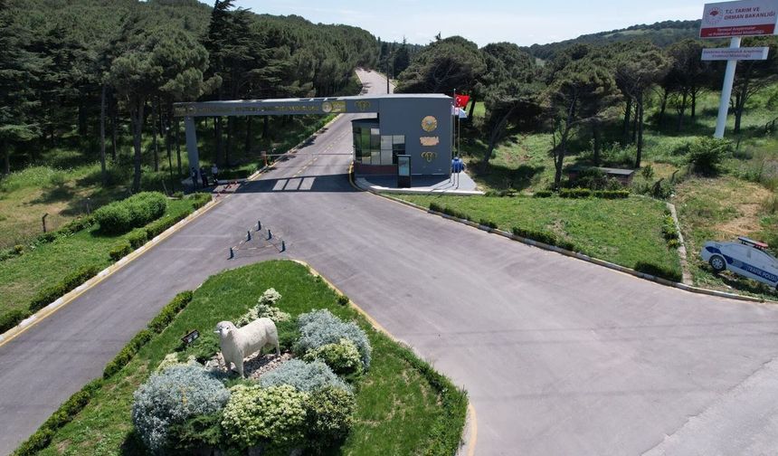 Bandırma Enstitüsü'nün TÜBİTAK projesine destek