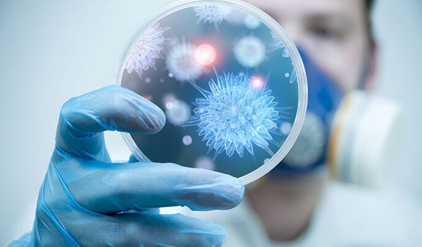 İngiltere'de salmonella alarmı: 207 vaka, 1 can kaybı