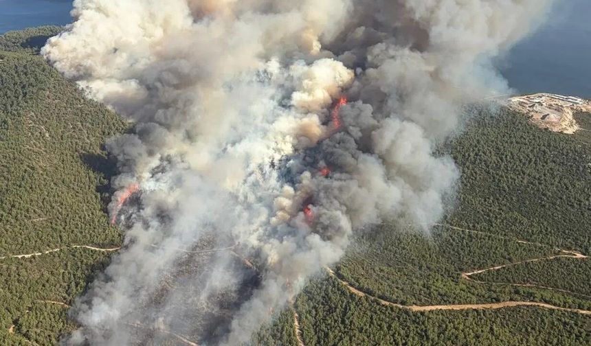 Uşak'ta çıkan yangın kontrol altına alındı