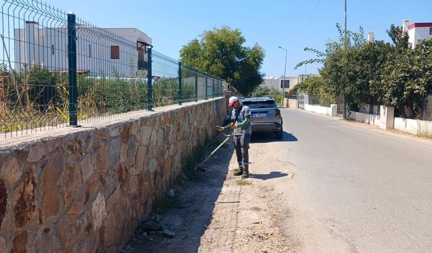 Bodrum'da ot temizliği çalışmaları sürüyor