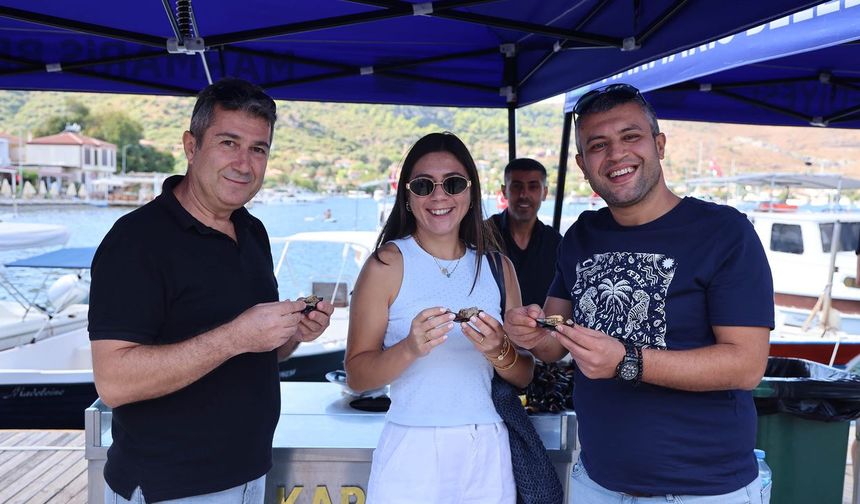 Festival heyecanına sayılı günler kaldı