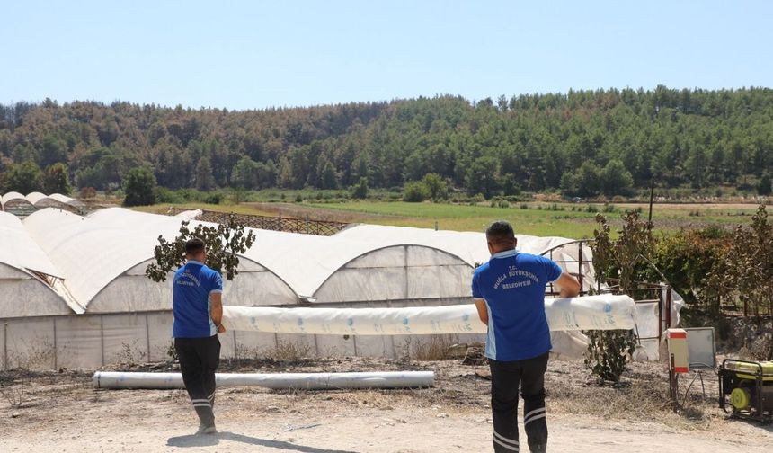 Seydikemer'de yangının yaraları sarılmaya başlandı