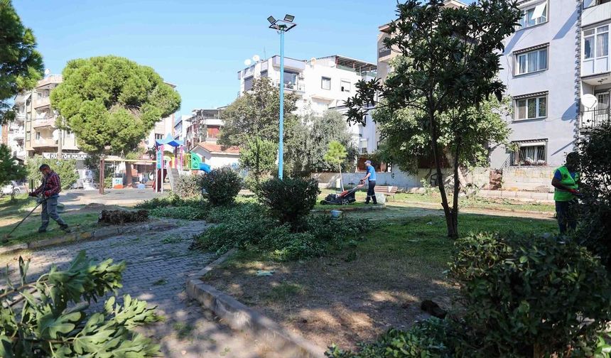 Buca'nın yeşil alanlarına sonbahar bakımı