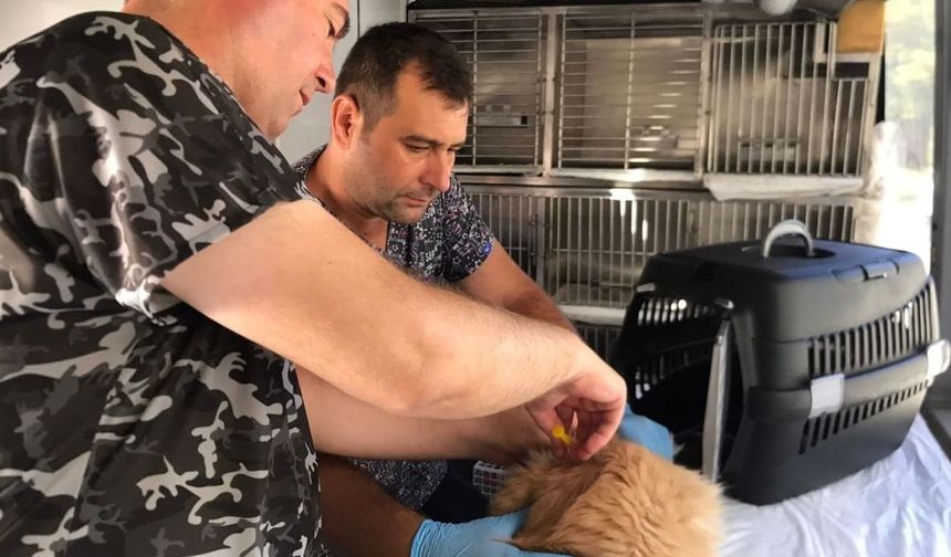 Can Dost'un yeni rotası belli oldu