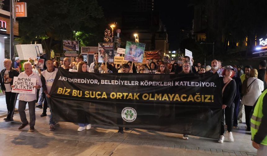 'İktidarın ortağı olup bizi tek biraktınız'