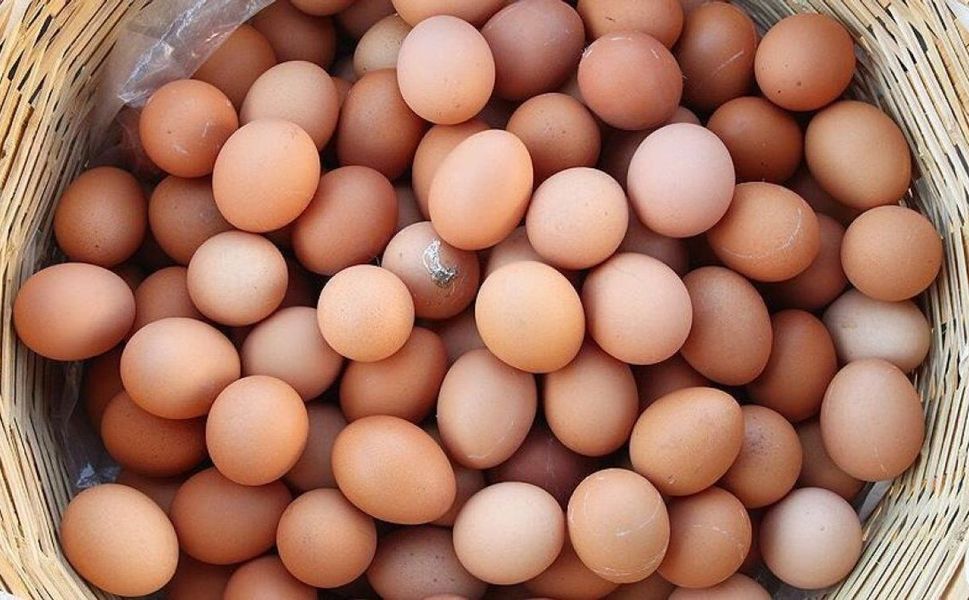 Salmonella alarmı: 306 kişi hastalandı