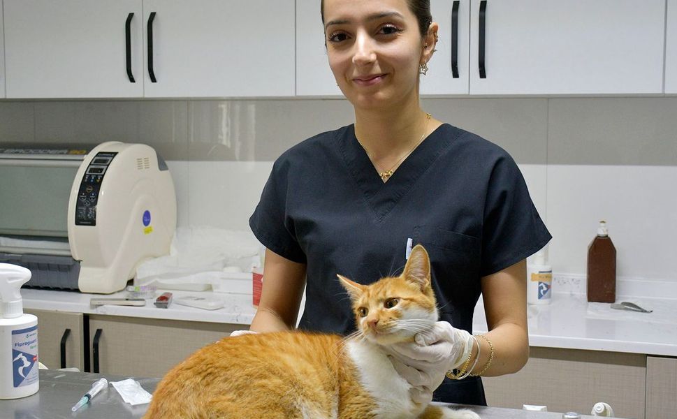 Kuşadası'nda patili can dostların sağlığı emin ellerde