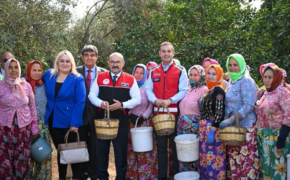 Akın, Altınova Mahallesi'nde gerçekleştirilen zeytin hasadına katıldı