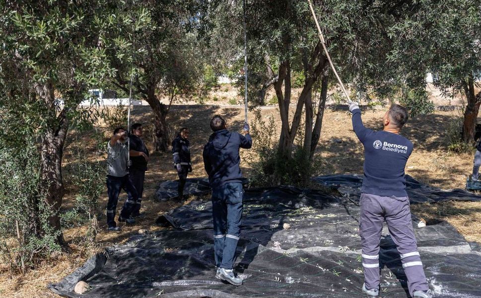 Bornova'nın parklarından dayanışma fışkırdı