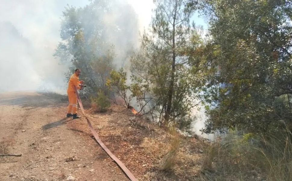 Bursa'da orman yangını
