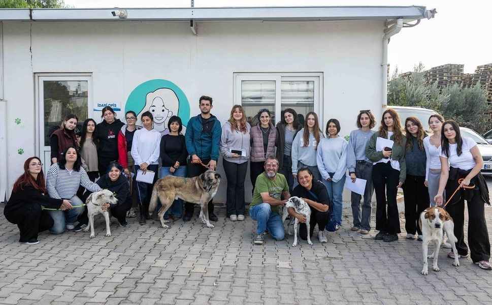 Can dostları yeni sahipleriyle buluştu