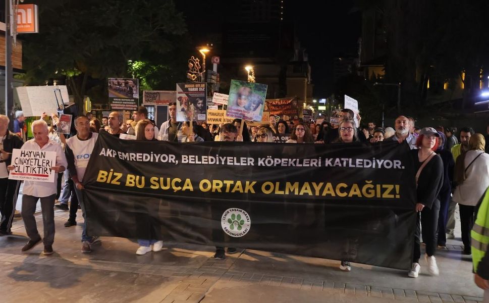 'İktidarın ortağı olup bizi tek biraktınız'