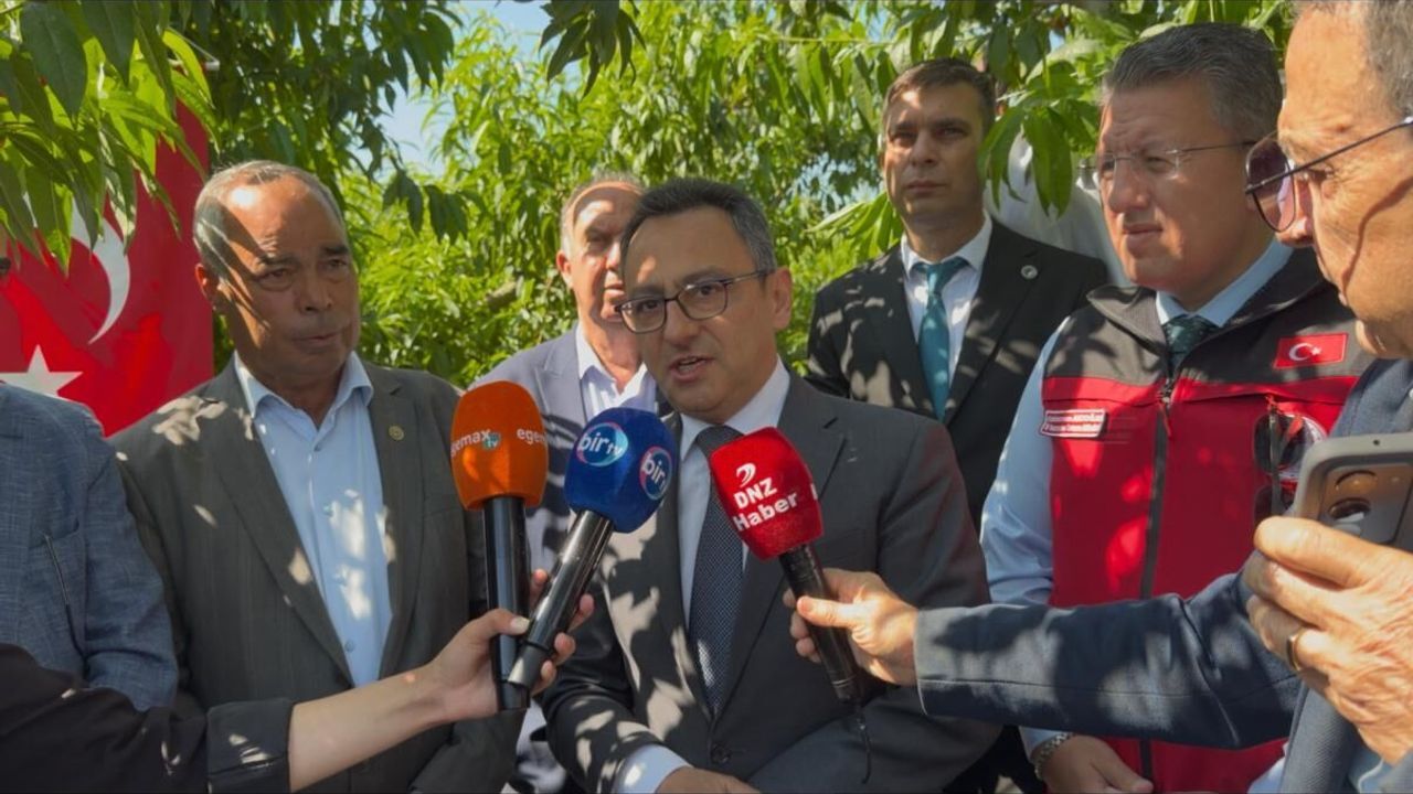 Ege'nin bereketli topraklarında 'altın hasat' başladı: